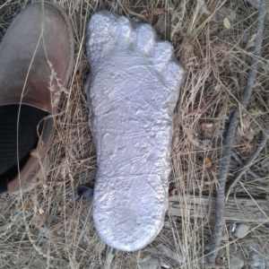 Aluminum Bigfoot Sasquatch Casting " Normal Foot " ideal for walkways