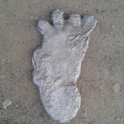 Plaster cast of giant footprint