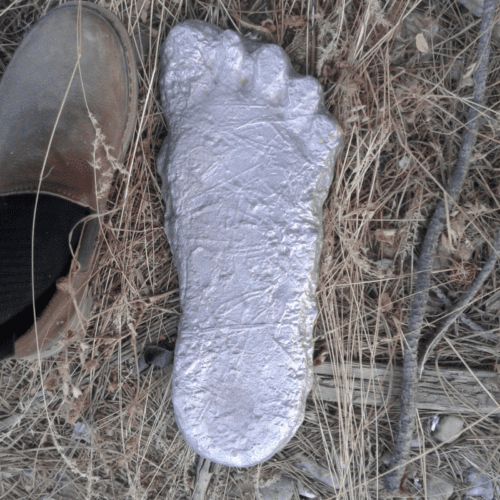 Footprint cast beside brown shoe